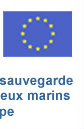 Euroflag (drapeau européen) pour symboliser lien vers le site de l'Union Européenne